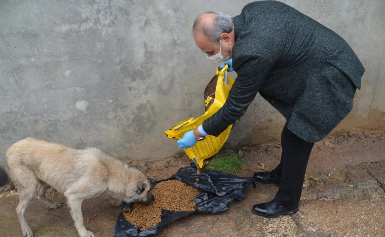 Oğuzeli'nde sokak hayvanları için örnek davranış