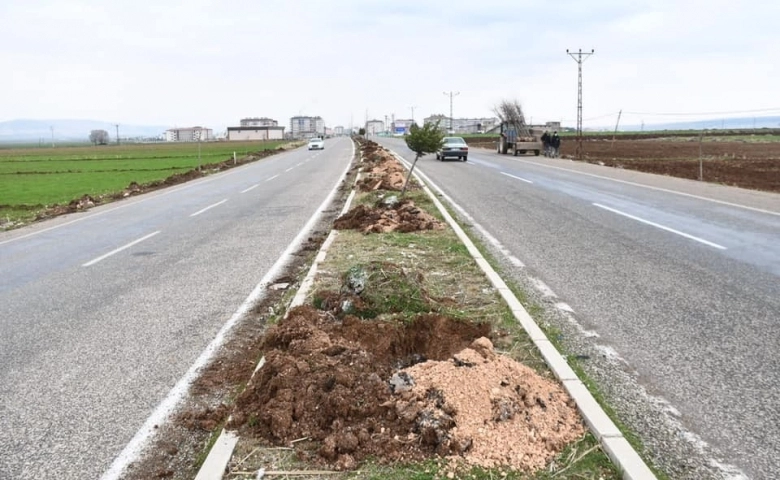 Araban Belediyesinin ağaçlandırma çalışması sürüyor