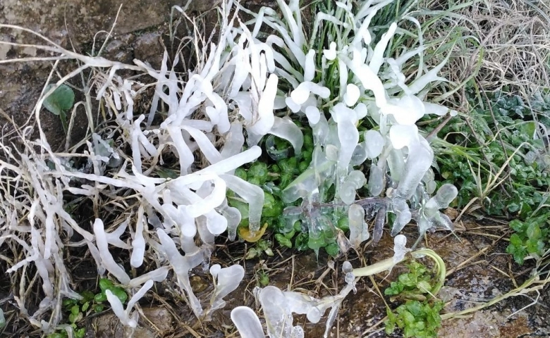 Yavuzeli'nde don tarım arazilerini vurdu