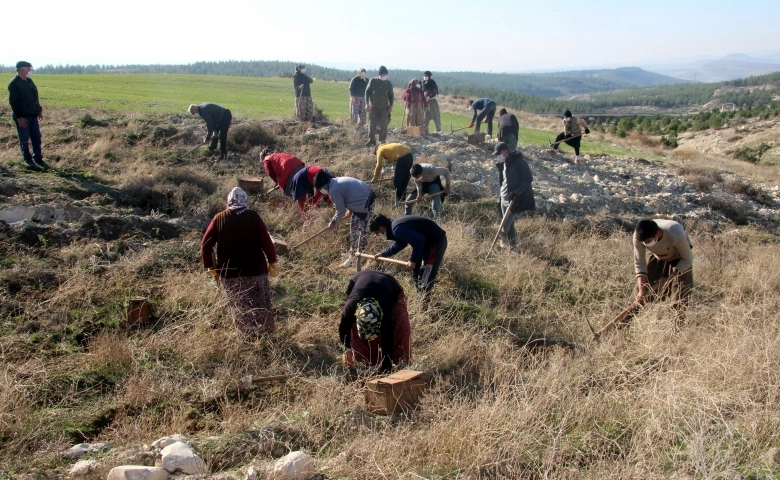 Kilis’te aroma vadisi oluşturuldu