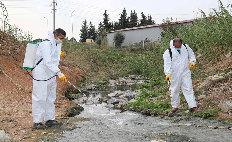 Adana'da sivrisinek ve haşereyle mücadele  