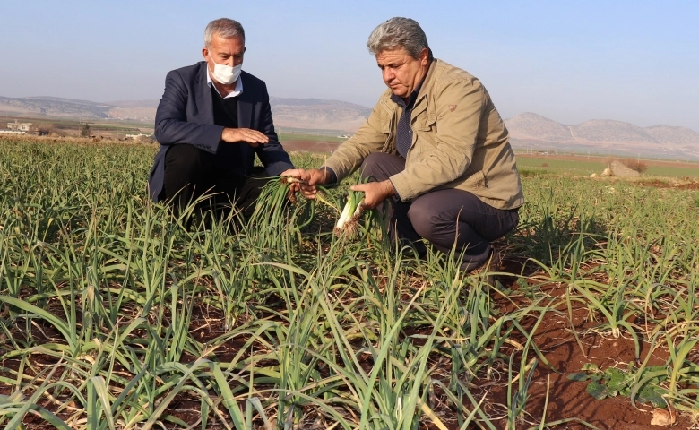 Gaziantep'li Çiftçilerin kuraklık endişesi