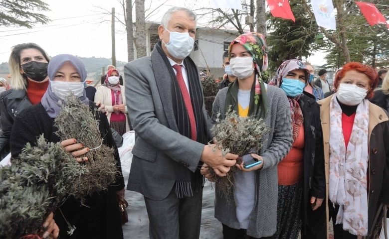 Adana Büyükşehir Belediyesi Kadın üreticilere lavanta fidesi dağıttı