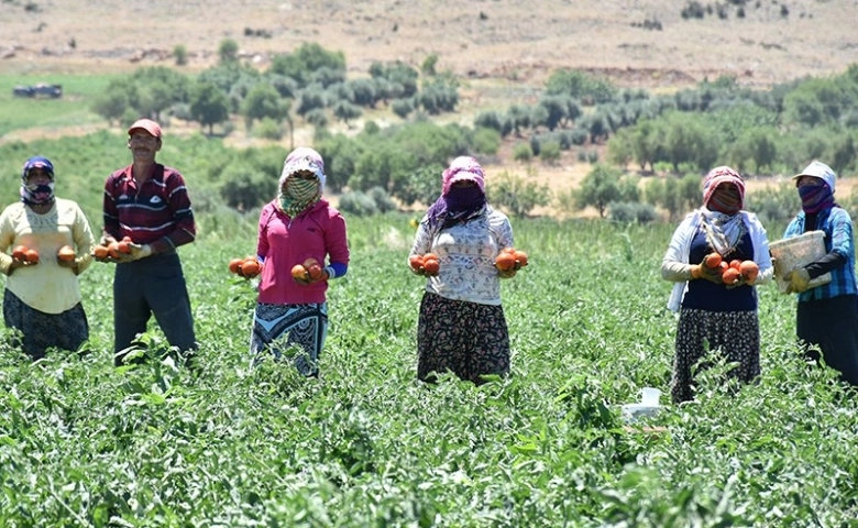 Kilis Ziraat Odasından Çiftçilere Tarım Sigortası Çağrısı