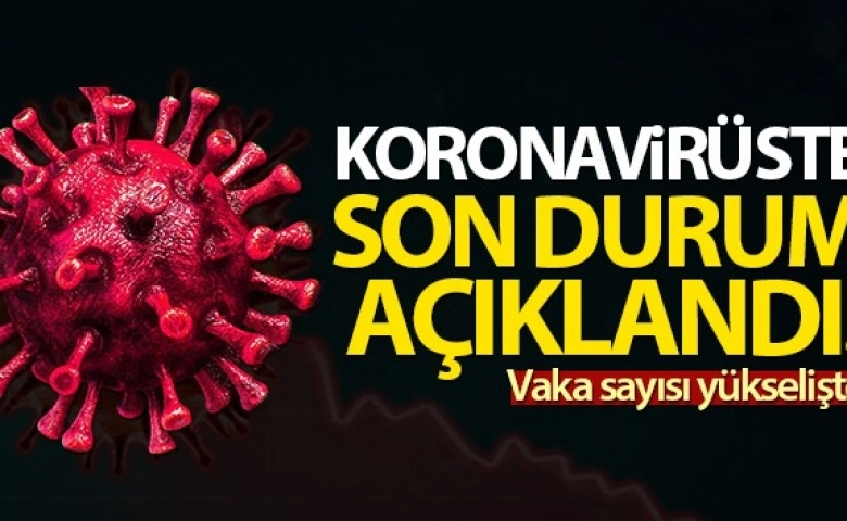 Türkiye'de bugün 7.795 koronavirüs vakası tespit edildi