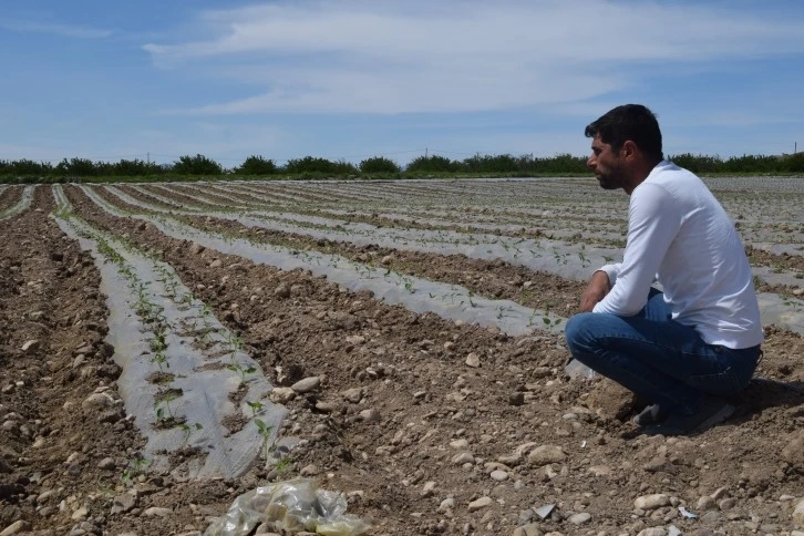 Deprem tarımı da vurdu, mevsimlik işçi bulunamıyor