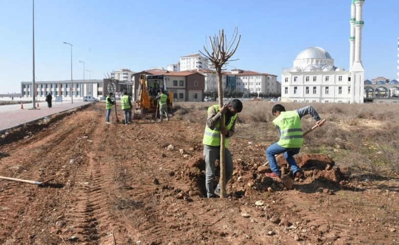 Şahinbey Belediyesi  4 milyon 215 bin ağacı toprakla buluşturdu