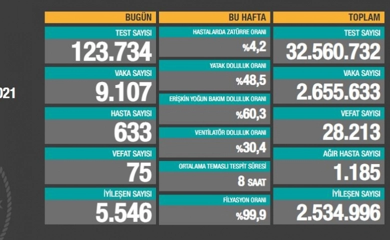 Koronavirüste toplam can kaybı 28 bin 213'e yükseldi