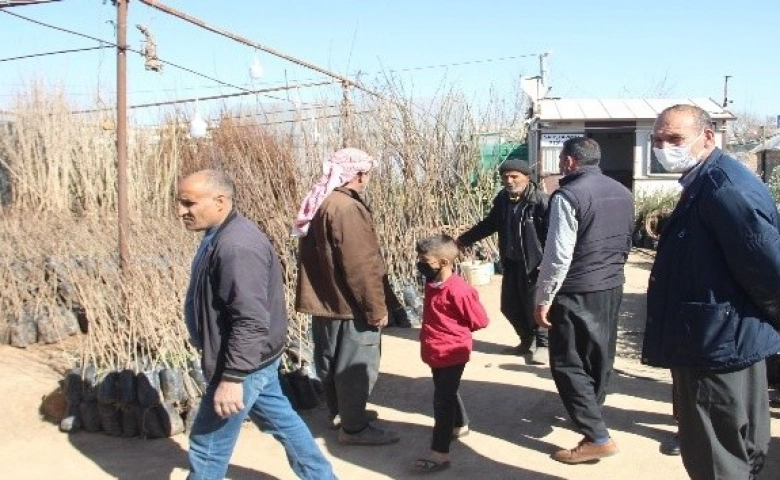 Urfa’da fidan satışlarında rekor artış