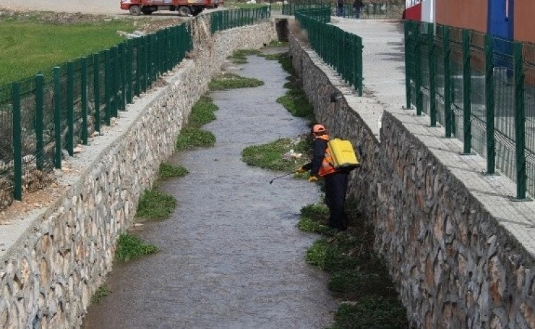 Adıyaman Kahta Belediyesi larva üreme noktalarını ilaçlıyor