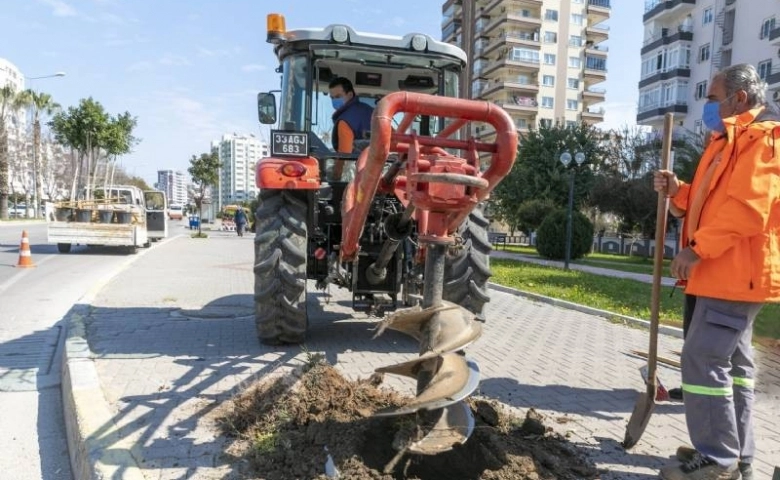 Mersin’de büyükşehir, kaldırımları hem yeniliyor hem bitkilendiriyor