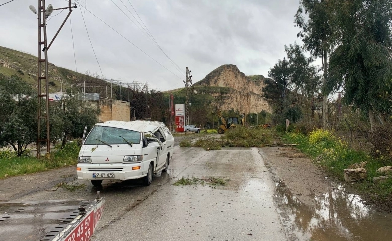 Urfa’da fırtınada devrilen ağaçlar araçlara zarar verdi