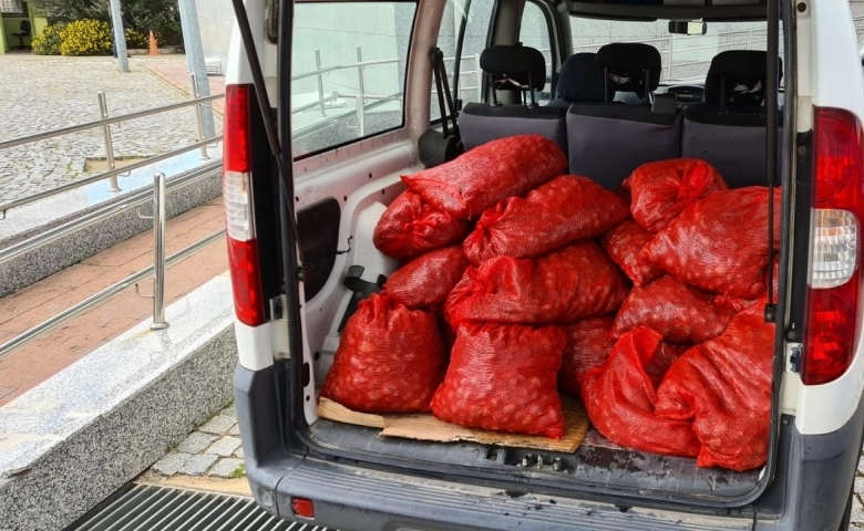 İzmir’de kaçak yollarla avlanan 400 kilogram midye denize bırakıldı  