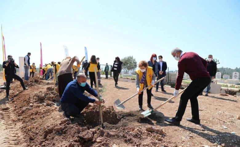 Mezitli’de 62’nci jakaranda koruluğu merhum Dr. Yılmaz adına oluşturuldu