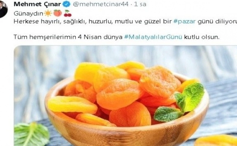 Malatyalılar günü kutlamaları sanalda