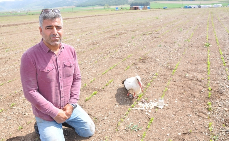 Gaziantep'te bir Muhtar  yaralı leylek için nöbet tuttu