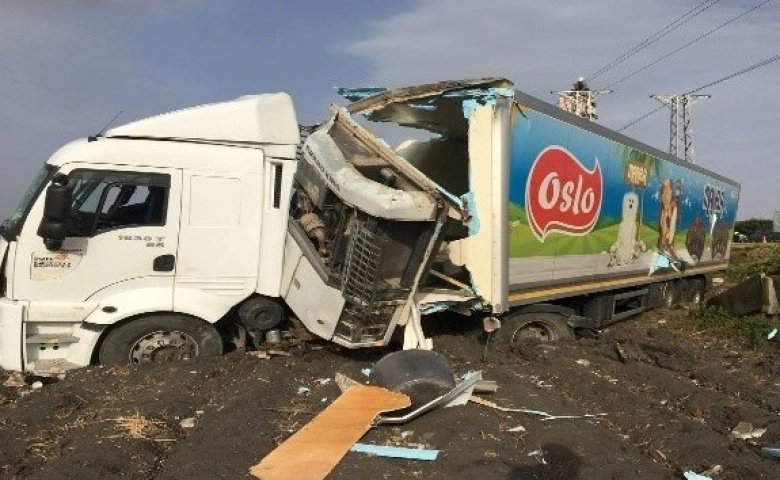 Osmaniye'de Tarlaya uçan tırın sürücüsü yaralandı