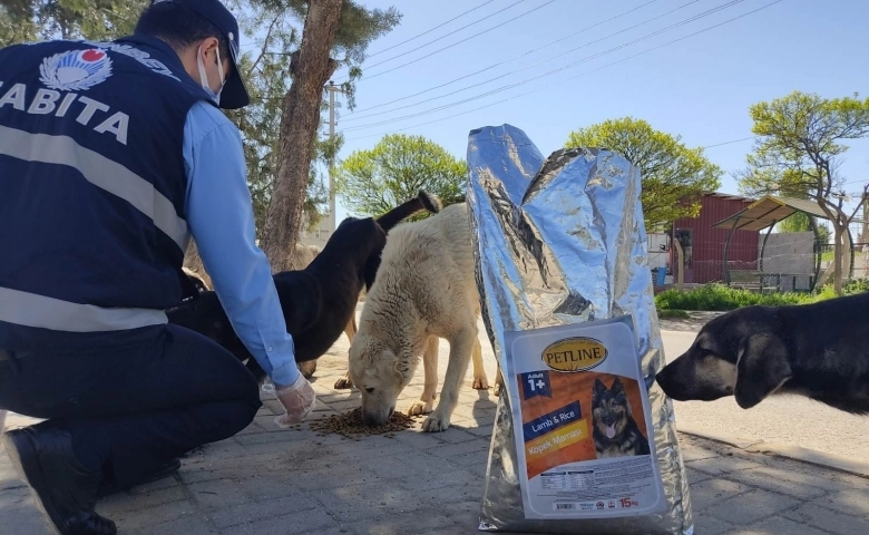 Şahinbey’de sokak hayvanları unutulmuyor 