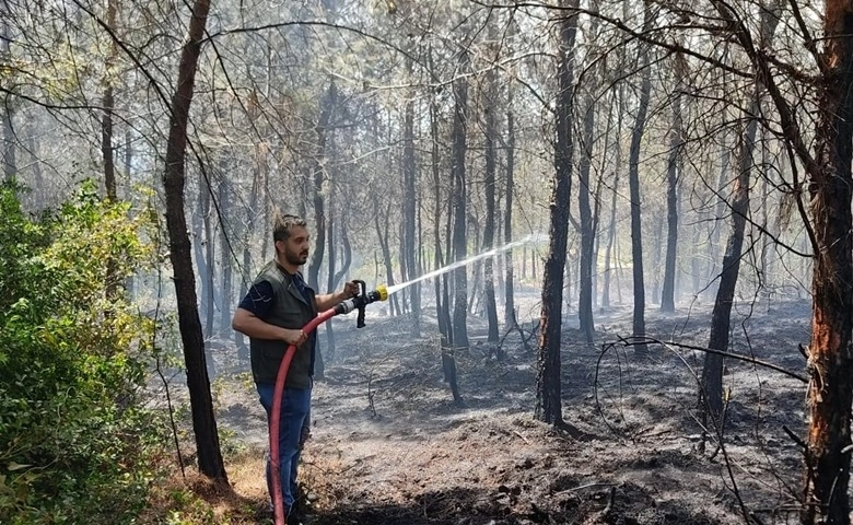 Hatay’daki orman yangınında 1 hektarlık alan zarar gördü 