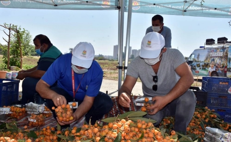 Tarsus Belediyesi, 12 ton yenidünyayı vatandaşlara ücretsiz dağıttı