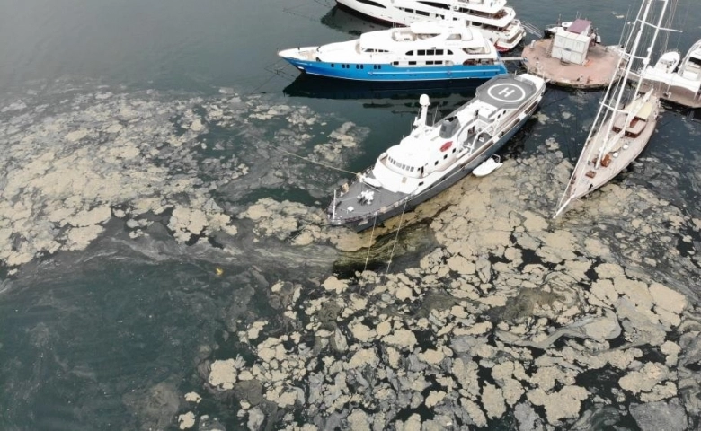 Deniz salyası ve balık ölümlerinin nedeni su sıcaklığının artması