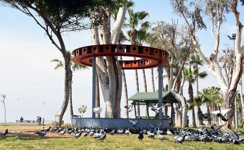 Mersin'de sahil bandına doğadaki kuşlar için kuş evi yerleştirildi  