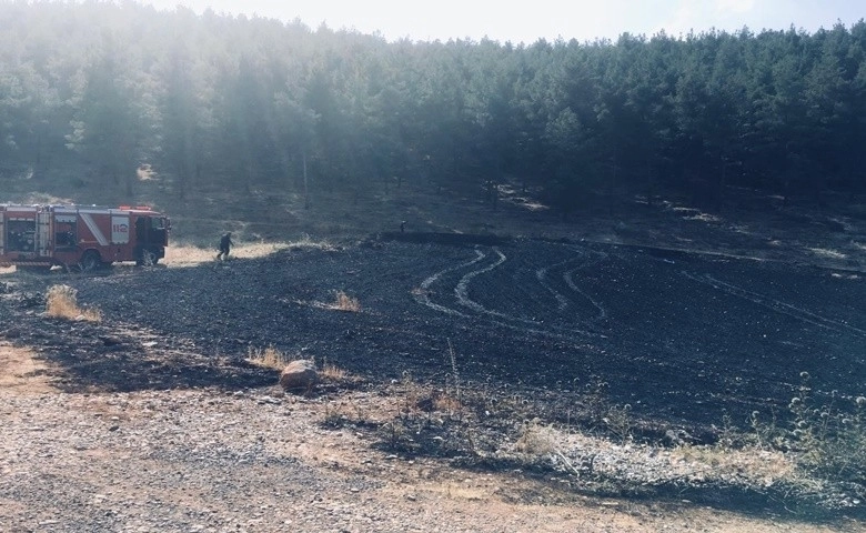 Kahramanmaraş'ta buğday tarlası yandı