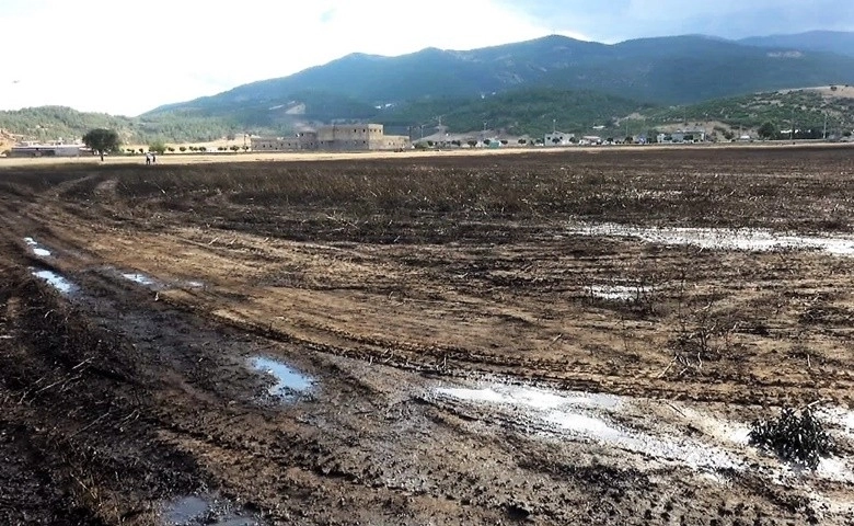 Kahramanmaraş’ta 200 dekarlık buğday tarlası yandı  