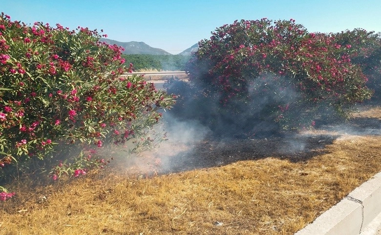 Araçlardan atılan izmaritler yangına sebep oluyor