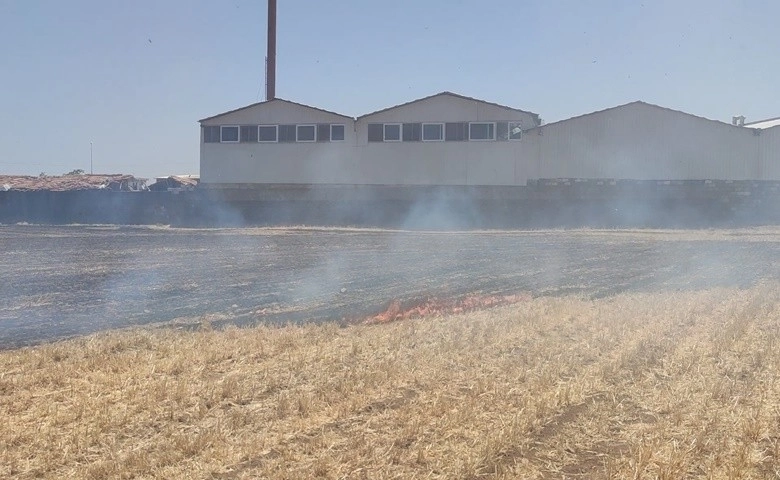 İslahiye’de anız yangını az kalsın fabrikayı yok ediyordu 