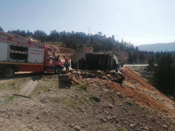 Mersin'de Tır devrildi, 60 hayvan telef oldu