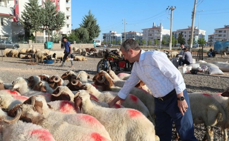 Şahinbey'de kurban satış ve kesim yerleri belirlendi