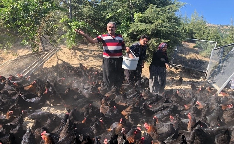 Binlerce tavuk gençlerin geleceği oldu  