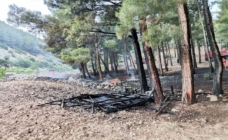 Kahramanmaraş’ta orman yangını  