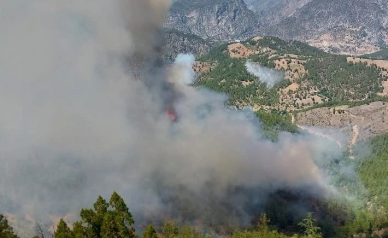 Adana'da orman yangını