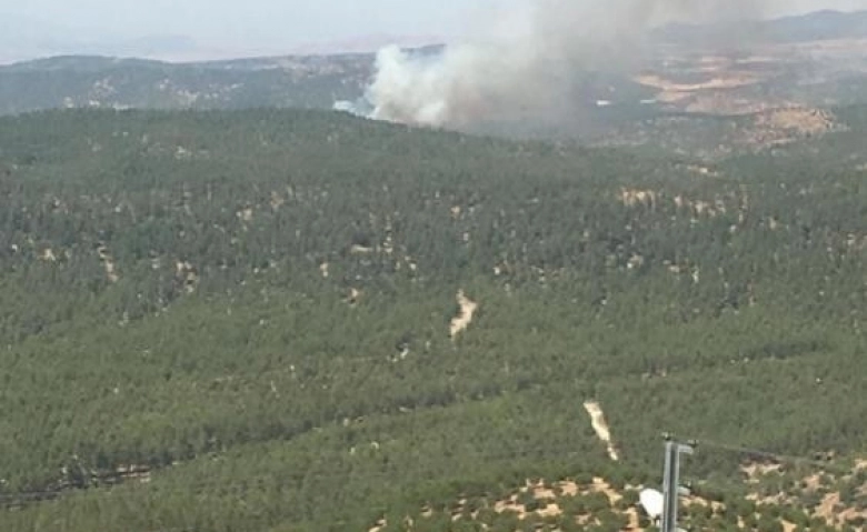 Kilis'te orman yangını