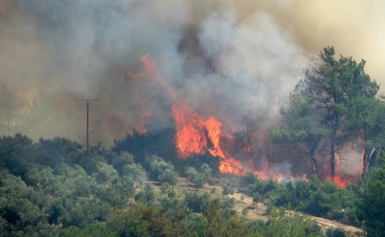 Osmaniye’de çıkan orman yangını devam ediyor