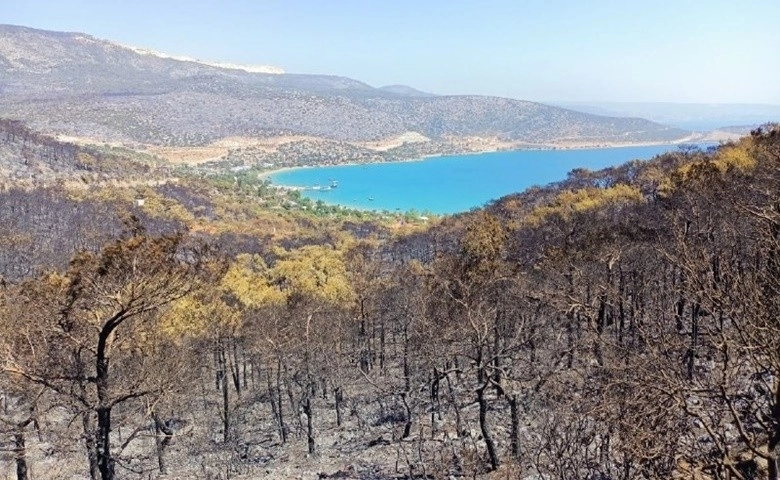 Silifke'de orman yangını devam ediyor