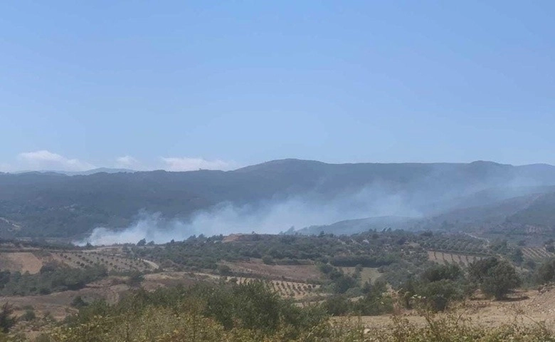 Hatay'da ormanlık alanın yakınında yeniden yangın çıktı  