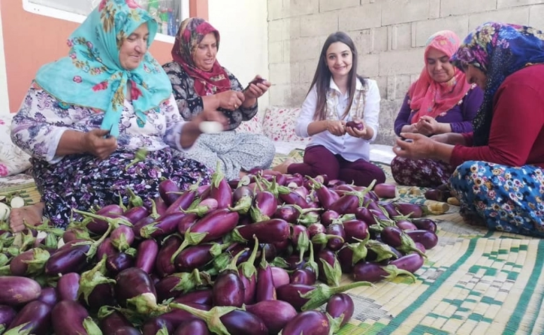 Oğuzeli Kaymakamı Büşra Uçar, ilçede patlıcan hasadına katıldı