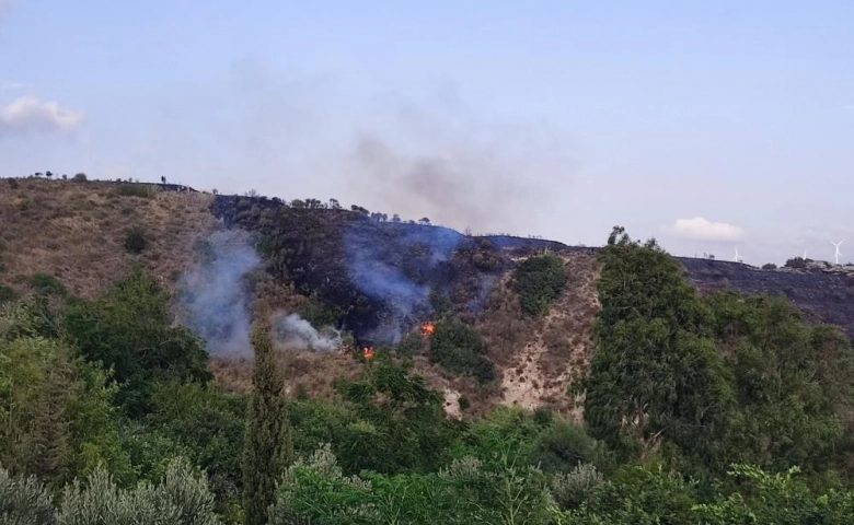 Hatay'da örtü yangını