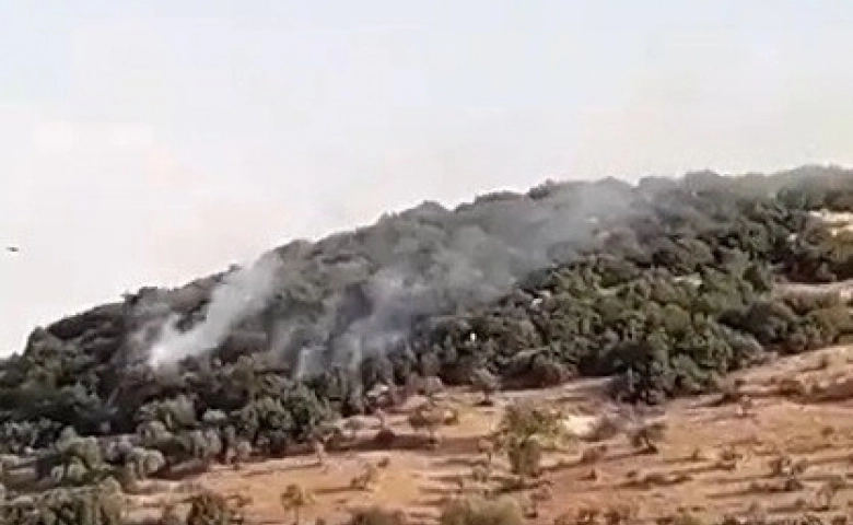 Gaziantep'te orman yangını