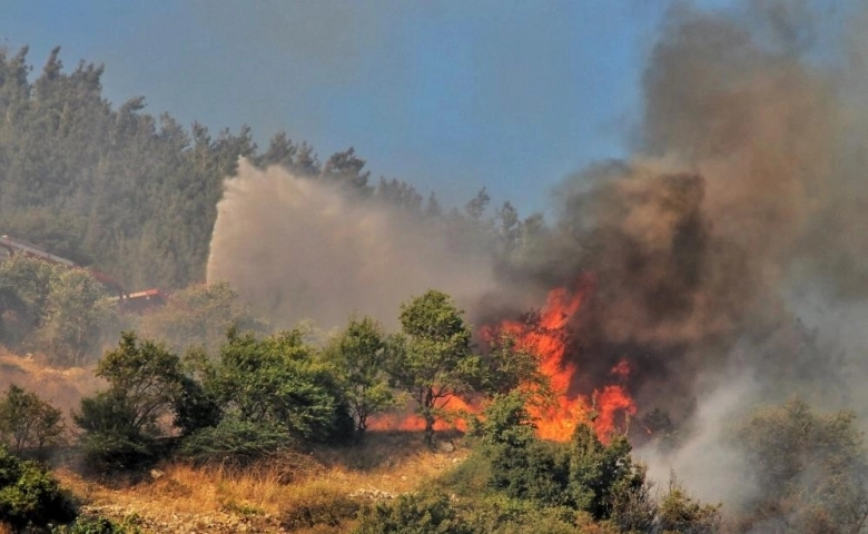 Kahramanmaraş’ta orman yangını