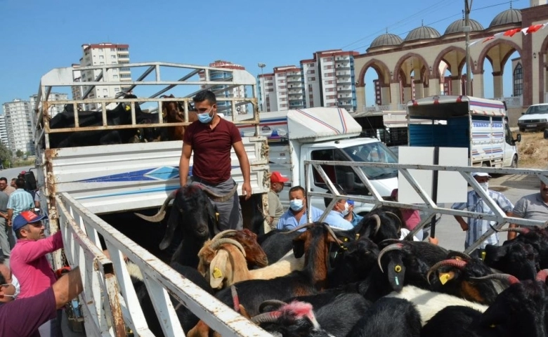 Mersin'de 'Hadi gel köyümüze destek verelim' projesi sürüyor