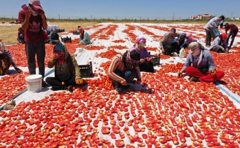 'Akça kadınlar' hem üretiyor hem ihraç ediyor