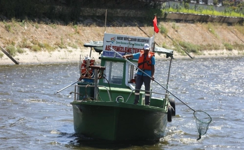 Hatay Asi Nehri’ndeki katı atık ve su sümbülleri temizleniyor