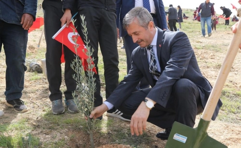 Şahinbey Belediyesi yeşil alan miktarını arttırdı