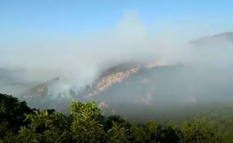 Tunceli’deki orman yangını devam ediyor