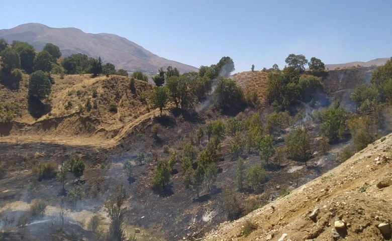 Adıyaman’da ormanlık alanda korkutan yangın