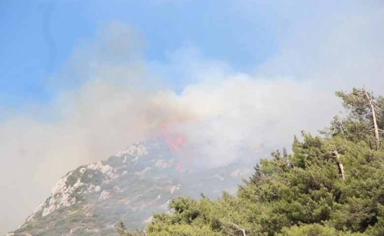 Hatay’ın Merkez ilçesi Antakya’da orman yangını